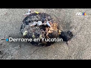 Bubbles or spill? Leak in Progreso underwater pipeline mobilizes Navy and Pemex in Yucatán
