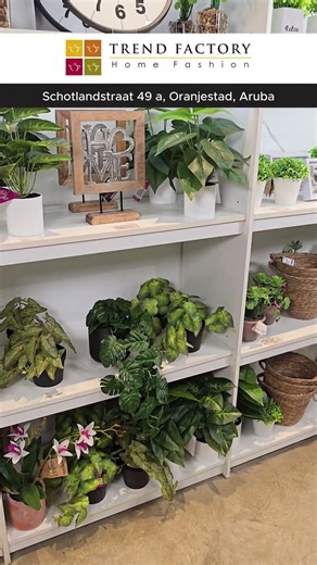 Furniture & Décor to Impress Your Airbnb Guests 🏡 Trend Factory Aruba