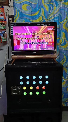 MTV Playlist ko sa Videoke ko: Rockstar by LISA | Platinum Reyna 3