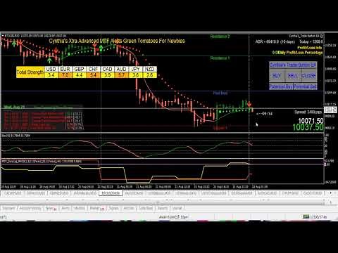 Intro to Xtra Advanced Green Tomatoes For Newbies