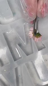 4.5K views · 1.5K reactions | Sunny Friday, sunny vibes, happy Friday...