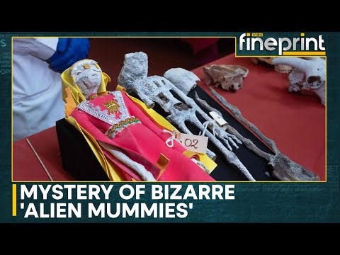 Peru's 'Alien Mummies' under fresh scrutiny | WION Fineprint