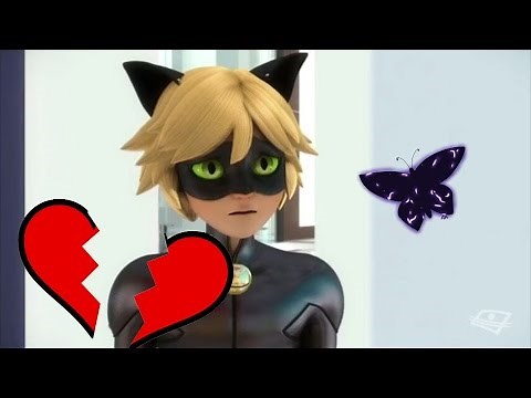 chat blanc adrien akumatized part 1