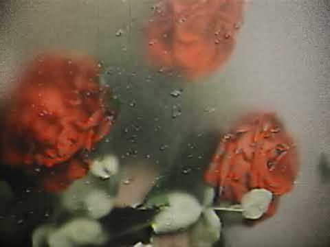 Unknown Song ("Don't It Feel So Real") [LQ]