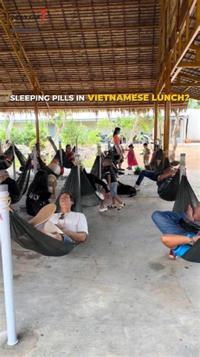 Sleeping Pills In Vietnamese Lunch? #trangiatravel #vietnamculture