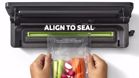 FoodSaver Quart Pre-Cut Vacuum Seal Bags, Easy Use Vacuum Storage Bags, Align to Seal and Tear to Open Vacuum Sealer Storage Bags, 19 Pack