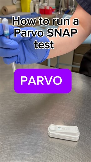 Dr. Brianna Tobin 🏳️‍🌈 | Emergency Vet & Educator | Vegan 🌱 | Suspect Parvo? Here’s how we run a Parvo SNAP® test in clinic: 1️⃣ Collect a fresh fecal sample/swab 2️⃣ Mix with buffer 3️⃣ Add 5 drops... | Instagram
