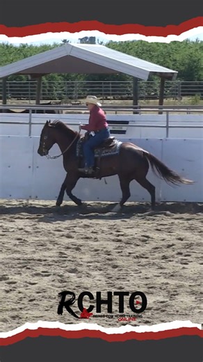 Want your cow work to come together in the show pen? Lyn Anderson shows you how to break it all down at home - so every piece of your fence work builds confidence, precision, and control. In this detailed video, Lyn shares how to work your Bridle horse differently from your Snaffle Bit horse, and the exercises that keep them soft, straight, and thinking. 🎥 You’ll learn: The 4 key parts of cow work to focus on at home. How to keep your horse straighter in the bridle. What to do if your horse won