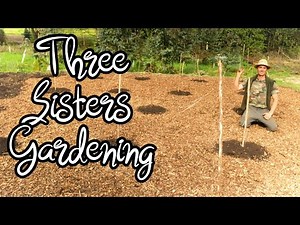 A NEW/OLD way to Grow Corn - A Three Sisters Garden - Tribal Growing