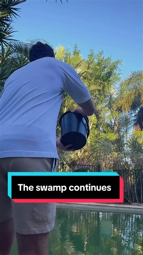 Day 3 of trying to fix this absolute swamp of a pool… and the guy at the pool shop basically told me my pool was f*ed 😂 Well, not really. He politely said it had zero chlorine, zero salt, and basically no chance of survival unless I got my act together. So here I am, Scottish man in Australia, pouring in chlorine, pool salt, algaecide, stabiliser, and praying to whatever pool gods exist. If this works, brilliant. If not, I’m giving up! Tune in tomorrow to see if the water is blue… or still look