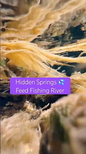 This Hidden Spring Feeds a World-Class Fishing River 🎣 | Island Springs Ranch, Camp Sherman OR