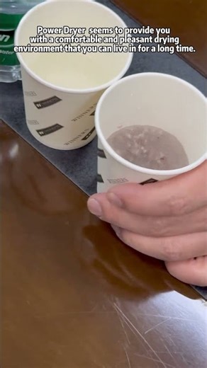 Desiccant or Power Dryer: Which Do You Need?#Furniture #mold #furniture #shoes #Bag #leather