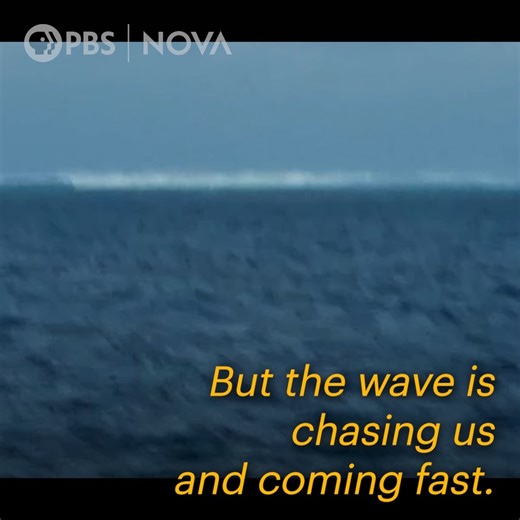 This fisherman was out at sea during one of the most powerful volcanic eruptions ever recorded, which sent a massive tsunami wave his way. Here's how he survived the 2022 eruption of Hunga Tonga-Hunga Ha'apai: | NOVA l PBS