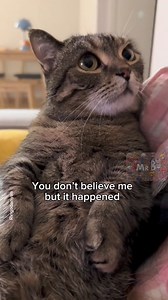 23K views · 503 reactions | Little Horror Story | Mr.B | Facebook