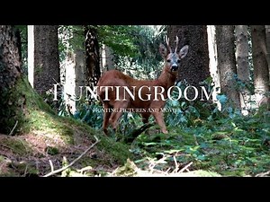 Bockjagd in Deutschland