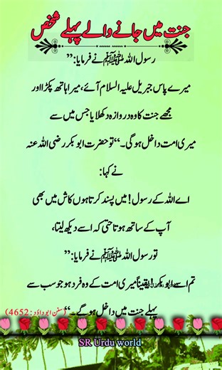 954K views · 37K reactions | 勺✍️勺 Unveiling History: The 4,500-Year-Old Tunic at the Egyptian Museum"☝ #Ancient History #Historical Treasures #archaeologylovers #Egyptian Museum #pega | SR Urdu world | Facebook
