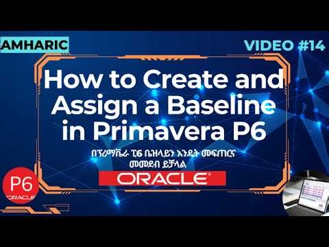 How to Create and Assign a Baseline in P6 | Amharic Tutorial