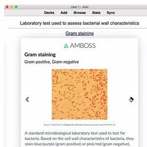 2.1K views · 33 reactions | It's here!  The AMBOSS add-on for Anki has been updated with new features that you've been asking for. Check out the new additions such as: . ⭐ Pop-up definitions with diagnostic images and illustrations in your Anki flashcards . ⭐ Flashcards linked to the AMBOSS Library . ⭐ Customizable highlighting tool . ⭐ Customizable keyboard shortcuts Read more about the add-on and download here: https://go.amboss.com/2020_Anki_AMBOSS_FB | AMBOSS | Facebook