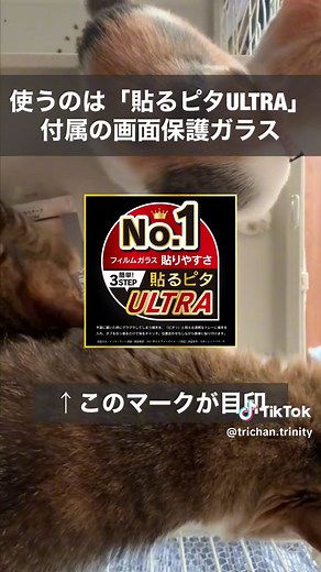 #今日の貼るピタULTRA スマホの画面保護ガラス、「上手く貼れない...」「自信がないからお店で貼ってもらう…」なんて方いませんか？？ 何を隠そう、数年前の私がそうだったのですが、トリニティに入社してからその考えが180度変わりました❗️ 不器用な私でも… ◎位置ずれしない！ ◎埃も入らない！ ◎気を張らなくても綺麗に貼れる！ ということで、おすすめしたい貼り方があるんです😚 それはこの貼るピタULTRA付属の保護ガラスを使うこと！ 貼るピタMAXなど以前のバージョンでも本当に綺麗に貼れるのですが、今回新しくなった貼るピタULTRAはさらに進化しているんです！ ということで、本当に綺麗に貼れるのか？ 実際に貼り付けてみました！ なお今回は初見でもたもたしていますが、こんなに猫がたくさんいる場所でも綺麗に貼れた奇跡❣️ 猫パンチもされたのに😹 これは使わなきゃ損ですぞ〜😆‼️ 「貼るピタULTRA」付属の画面保護ガラス一覧 https://trinity.jp/product-tag/貼るピタultra/ また現在下記開催中‼️ ／ Wチャンスもある❣️ #Amazonギフトカー