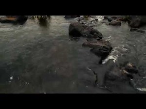 apocalypto film complet 2020