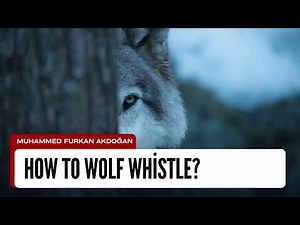 How To Wolf Whistle? Easy Trick – How to Wolf Whistle Loudly in Simple Steps