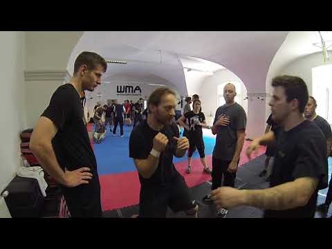 Martin Wheeler Systema -Street Boxing Seminar. Austria