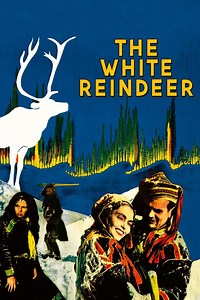 The White Reindeer Summary, Trailer, Cast, Where to Watch and More