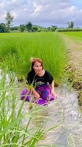 185K views · 847 reactions | ตัวอะไร藍What went into my sarong #haha #reels #funny #reelsfunny #คลิปฮาๆ #คลิปขำขำ #คลิปตลก | Chatyada Boonpeang | Facebook