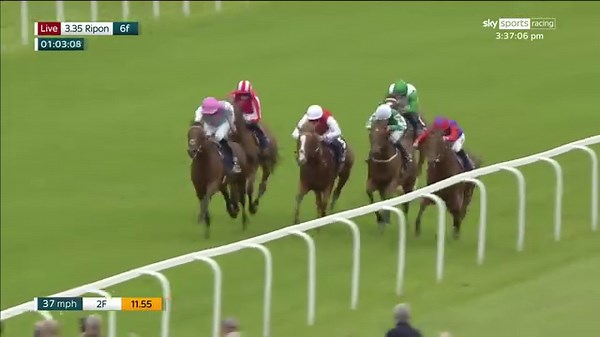 47K views · 1K reactions | Very smart! Frankel colt Task Force stays unbeaten with victory in the Champion Two-Year-Old Trophy at Ripon! | At The Races | Facebook