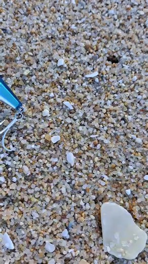 AKAMI BRISK 💥🐟💥 | Akami Portugal