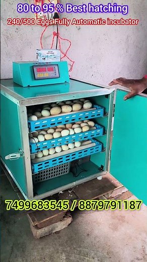 240/500 Eggs Fully Automatic Metal Body Incubator 90 to 95% Best hatching