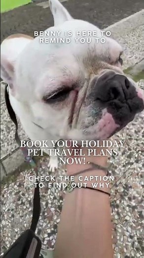 Book Your Holiday Pet Travel Plans Now!