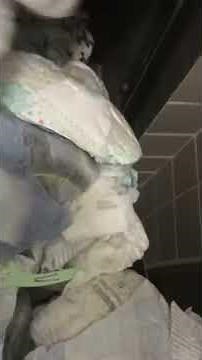 Diapers going down garbage chute
