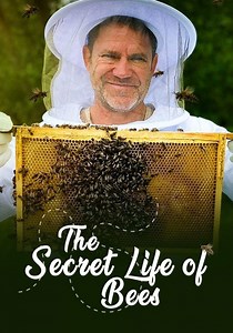 The Secret Life of Bees - streaming online