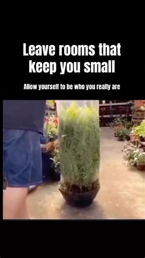 Leave rooms that keep you small‼️