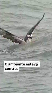 Multidimensional O Som do Ser