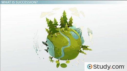 Primary & Secondary Ecological Succession | Causes & Examples