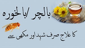 16 reactions | ALOPECIA AND BEST FOR HAIR LOSS HEALTHY TREATMENT ....