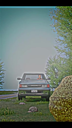 Family Experiences Bee Attack Animation Explained