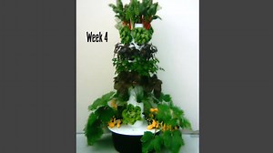 57K views · 511 reactions | Look at Tower Garden grow! | Tower Garden | Facebook
