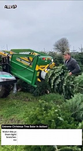 Extreme Christmas Tree Baler in Action! Fast Netting Machine for Tree Harvesting