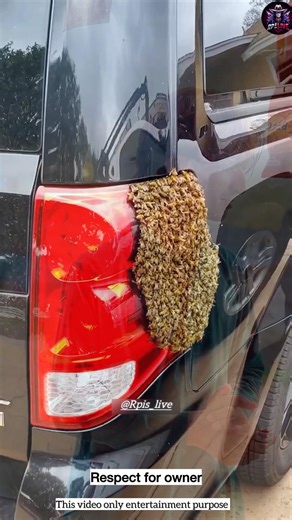 Bees Took Over His car 😇#funny #chinesedrama #funny youtubeshorts #cdrama #doonakdrama