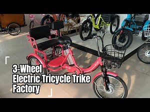The best Electric Tricycles for adults made in China | 3-Wheel Electric Tricycle Trike Factory