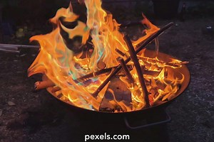 Free Model+Halee+Dancing+Topless Videos