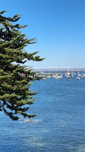 Stroll the pier, grab a snack, and look to the horizon. 🐋 Old Fisherman’s Wharf is a must-see on your next visit. | Monterey Marriott