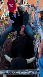 462K views · 10K reactions | No cometer errores en la salida es crucial para el desarrollo de una buena monta! #krakenrodeo#krakenrodeoacademy #krakenrodeoacademy #rodeo #rodeotime #bullriding #jaripeo #charreria #charros #jaripeos #cowboy #cowboyup #rodeoschool #rodeoseminar #mxbullropes #mxbullropesteam #vaquero #8seconds #8segundos | Kraken Rodeo | Facebook