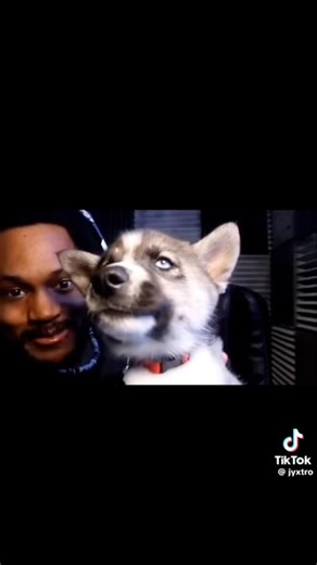 I feel bad for coryxkenshin…