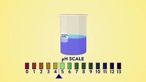 Video: Buffers - Prep