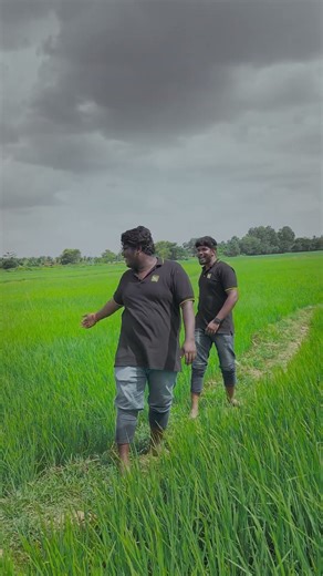 Breathtaking Aerial Views | Cinematic Drone Shot | Unseen Beauty From Above | Smart Work Productions