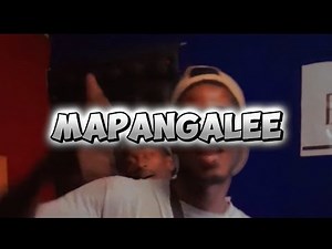 MAPANGALEE - PALMA OFFICIALE X DK THEE DON FT MC ZENDIAMBO ( VISUALIZER)#eastkwamabeast #mapangale
